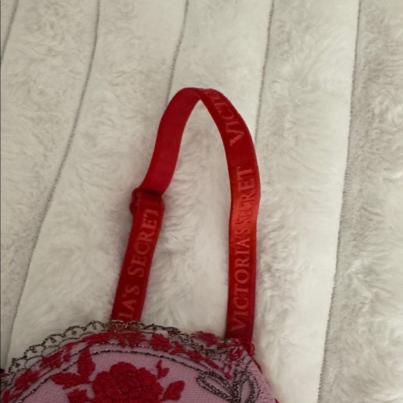 Red and Pink Embroidered Bra - Picture 3 of 5